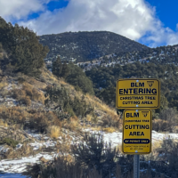 A close-up photograph of two yellow Bureau of Land Management signs mounted on a metal post in a snowy landscape. The top sign reads, "BLM ENTERING CHRISTMAS TREE CUTTING AREA" with the BLM logo. Below it, a second sign states, "BLM CHRISTMAS TREE CUTTING AREA BY PERMIT ONLY CONTACT BLM OFFICE AT: 801-977-4300," also with the logo. In the background, a dry, brush-covered hill with scattered evergreen trees slopes upwards towards a large mountain under a partly cloudy blue sky. Snow patches cover the ground 