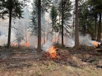  A prescribed fire pile burn
