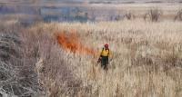 Firefighter with drip torch in a dry field