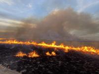 A prescribed burn in the Pecos District in New Mexico. 