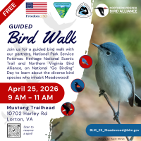 Flyer for a free guided bird walk on April 25, 2026, 9-11 AM at Mustang Trailhead, Lorton, VA, hosted by bird and heritage organizations.