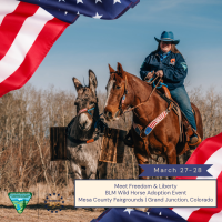 Photo of woman sitting on a brown horse with a burro next to them. The image has graphics of the American flag in the top left and bottom right photo with a textbox that has date and location of a wild horse adoption in Colorado