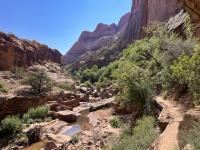 A elevated trail skirts the side of a creek at the bottom of a canyon.