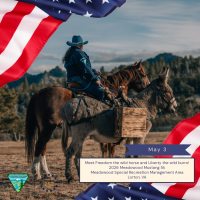 A person on horseback rides alongside a burro carrying gear in a scenic outdoor setting with American flag borders.