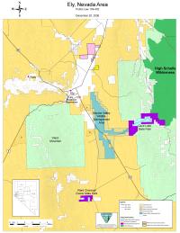 Map of Ely area showing multicolored polygons indicating locations of proposed actions under White Pine County Conservation, Recreation, and Development Act of 2006.