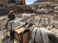 A man on horseback in an outdoor setting