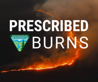 land on fire due to prescribed burn with text over the photos saying "Prescribed Burns"