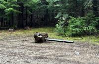 Image of post with cement base laying in a forested area.