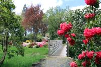 view of garden with bright pink rhododendrons in bloom
