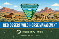 BLM-WY-RedDesert