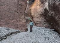 Person standing in a narrow rocky canyon holding a net, surrounded by towering reddish-brown cliffs under soft sunlight.