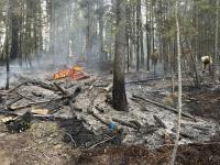 firefighting in Idaho
