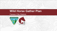 BLM and BLM Wild Horse and Burro Program logos underneath text: Wild Horse Gather Plan; Carson City District
