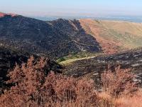 Image of blackened hills with trail running through