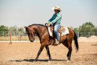 Branded Bonanza competitor Kacey Widick prepares for the competition this weekend. Photo by Carrie Sigglin