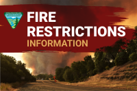 Picture with a big wildland fire smoke column in the background with the text 'Fire Restrictions Information' and the BLM logo overlayed.