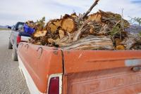 the bed of a pickup truck filled with firewood