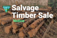 Picture of logs in the background with an artistic wash-out overlay, and then the words "Salvage Timber Sale Notice" in white font on the top. BLM logo also included next to the words.