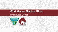 Graphic with BLM logo and graphic of horse head (Wild Horse and Burro Program logo with text above: "Wild Horse Gather Plan, Winnemucca District"