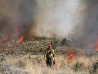 Wildland firefighter in protective gear walks through dry grass as flames and thick smoke rise behind them.