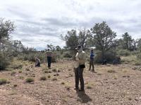A group of workers in a desert landscape with patches of grass and trees in the background