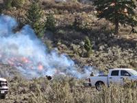 Workers closely monitoring a prescribed fire