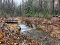 Image of small dam and creek in forested area