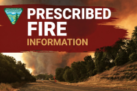 Landscape photo of a wildfire and large smoke plume in the background with the words Prescribed Fire Information and the BLM logo overlayed on the upper left side.