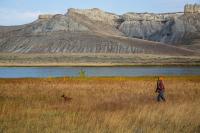 A hunter moves through tall brown grass with a dog
