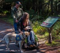 A person in a wheelchair on a forest trail, accompanied by another person and a service dog pausing to look at a BLM interpretive sign. 