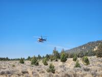 Helicopter flying low over a sagebrush-covered field near forested hills under a clear blue sky.