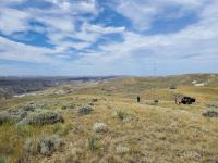 Wide view of a grassy, sagebrush-covered landscape beneath a partly cloudy blue sky. A slender Motus antenna tower stands on a distant ridge near several people, equipment and parked vehicles, with rugged river-breaks terrain stretching across the background.