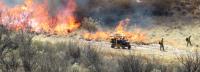 Firefighters ignite fuels on the fire side of a contingency line using drip torches.