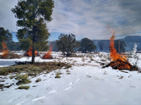 Photograph of several slash piles on fire. There is snow in the foreground and the piles are scattered horizontally in the background with a tall pine tree on the left hand side.