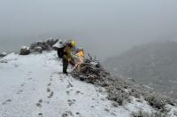 A firefighter in full gear ignites a slash pile on a snowy hill.