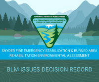 Thumbnail graphic with BLM logo in the foreground and a foggy landscape of trees in mountains in the background. Text on the image says BLM Issues Decision Record and Snyder Fire Emergency Stabilization and Burned Area Rehabilitation Environmental Assessment