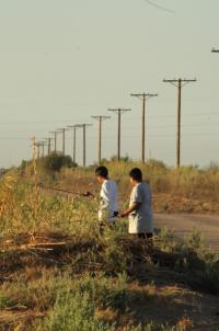 Two people standing fishing in some water. 