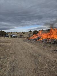 Prescribed fire pile burning in the Albuquerque District Office. 