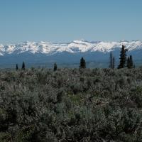 Pinedale RMP Amendment Project Area - EA Cover & Press Release - Zuckerman 6-2017
