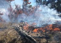 fire on the ground, short flame height