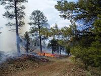 San Pedro Prescribed Burn