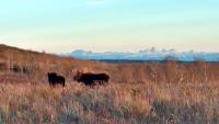 pressrelease-idahofallsdistrict-uppersnakefieldoffice-egin-hamer-closure-mooseandtetons-01052018