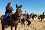 Horses with riders on the range. 