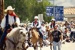 Horses with riders in a parade. 