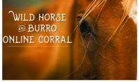 wildhorse_home_onlinecorral