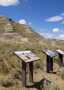 A hill at Big Cedar Ridge