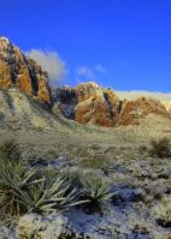 Red Rock Canyon National Conservation Area