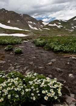 Alpine Loop National Back Country Byway