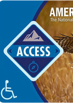 America the Beautiful Access Pass 2026 featuring a flying owl.