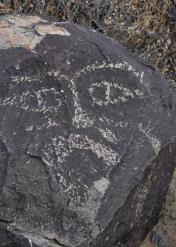 A view of a rock containing a petroglyph at Three Rivers Petroglyph Site in New Mexico. Photo by BLM.
